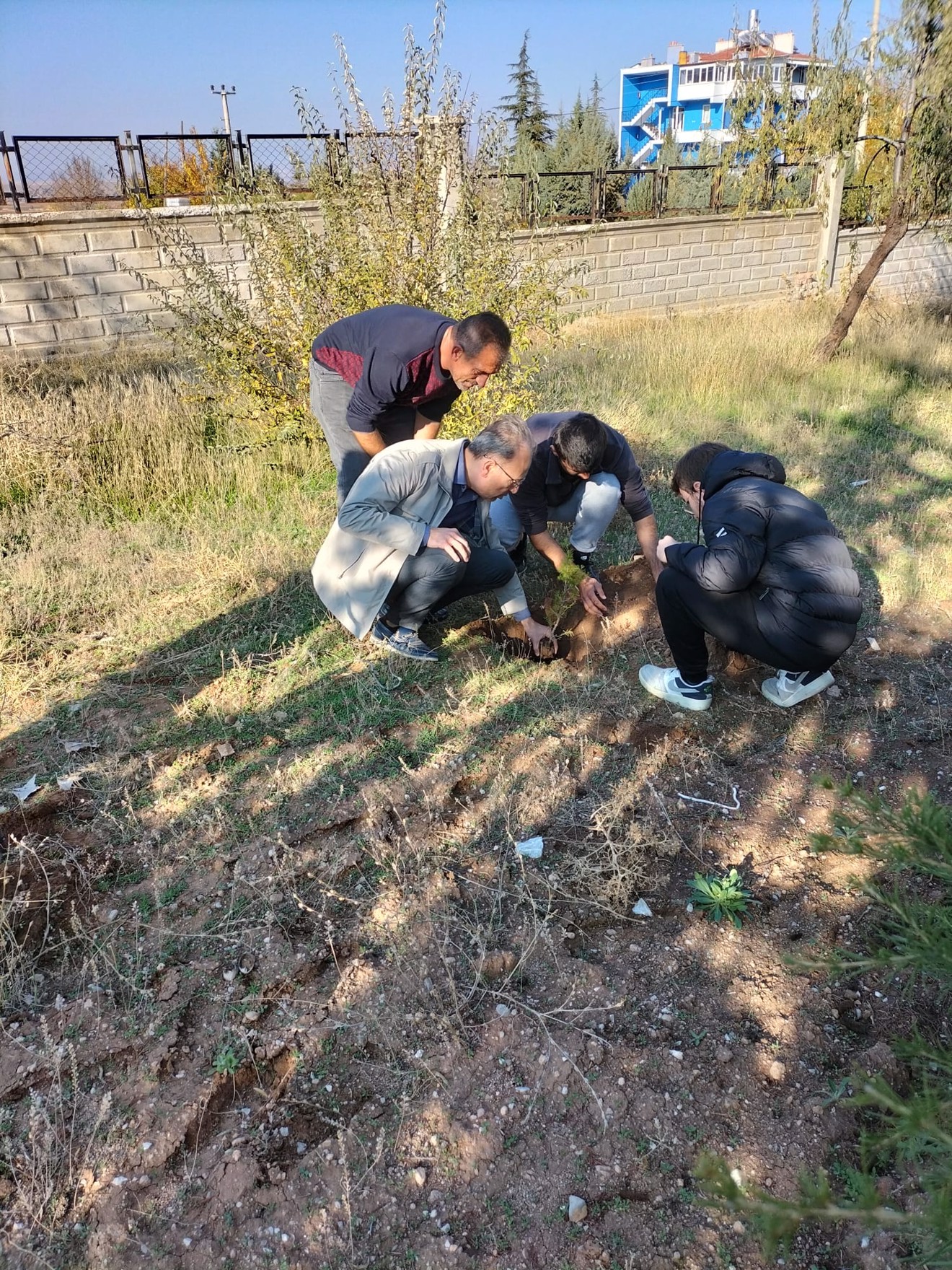 11 Kasım Milli Ağaçlandırma Günü